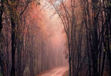 《全市場》:米蘭擊敗曼城簽下17歲前腰波波維奇.