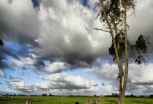 20-21賽季意甲聯賽第37輪比賽集錦.