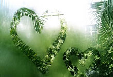 jbo竞博电竞：[NBA]凯文·杜兰特生涯十佳球.