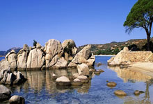 jbo竞博体育:中超:第1轮比赛中,《山东泰山》、《上海申花》和《成都蓉城》等球队亮相….